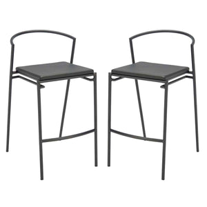 Safavieh Knightley Counter Stool(Set of 2), BST3007