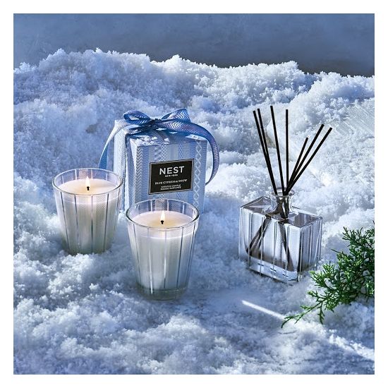 Blue Cypress & Snow 8oz. Candle by Nest New York