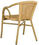 Safavieh Dagny  Arm Chair , PAT4000