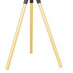 Safavieh Talon Metal Side Table Set Of 3 , FOX4523 - Gold / Black