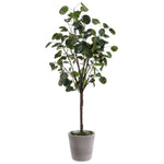Safavieh Faux Polyscias Fruticosa Potted Tree