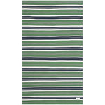 Lauren Ralph Lauren Leopold Stripe Rug, LRL2462 - GREEN