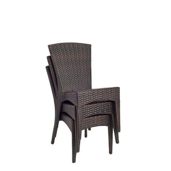 Safavieh New Castle Wicker Side Chair (Set Of 2)