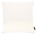 Safavieh Letara Pillow , PLS7182 - Silver / White