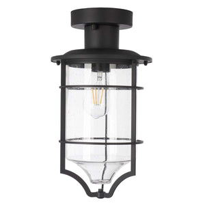 Safavieh Rueda Outdoor Flush Mount , PLT7039