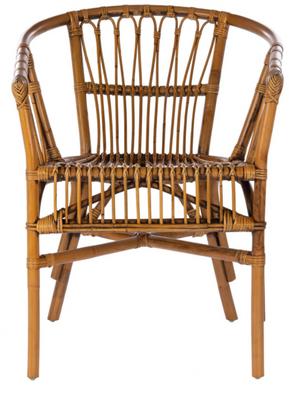 Safavieh Adriana Rattan Accent Chair, ACH6505