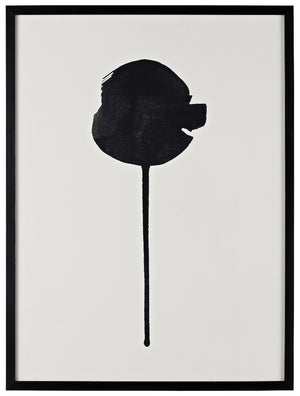 Safavieh Shadow Of A Dandelion 18x24 Inch Framed Wall Art, WLA2016