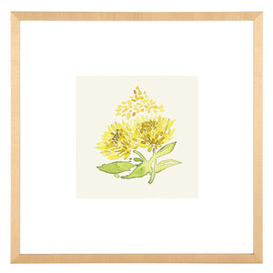 Safavieh Summer Wishes Framed Wall Art, WLA2048