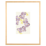 Purple/Yellow - Purple/Yellow