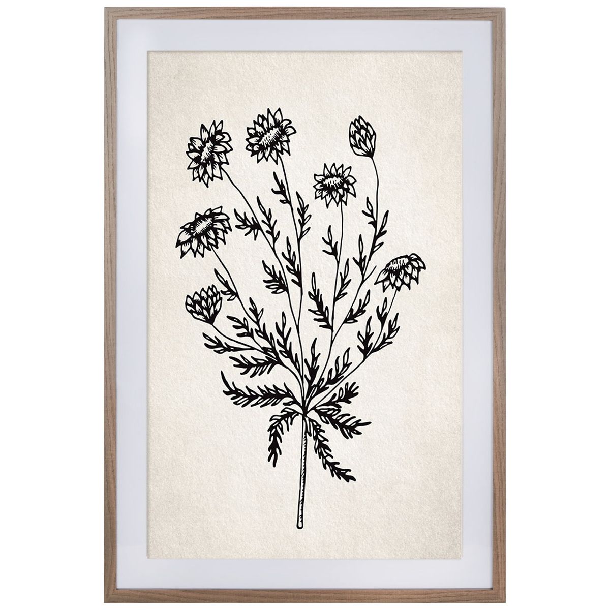 Ivory / Black - Ivory / Black