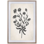 Ivory / Black - Ivory / Black