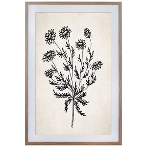 Safavieh Fresh Cut Flora, 24 X 36, Framed Wall Art, WLA3011